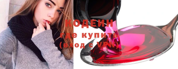 шишки Шадринск