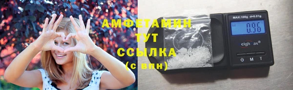 шишки Шадринск