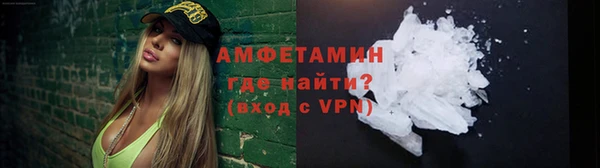 шишки Шадринск
