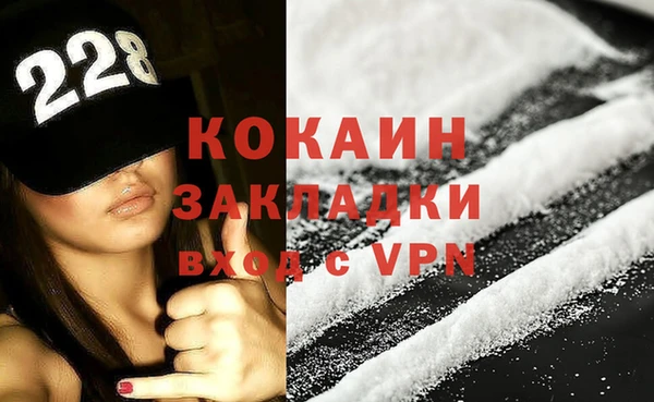 шишки Шадринск