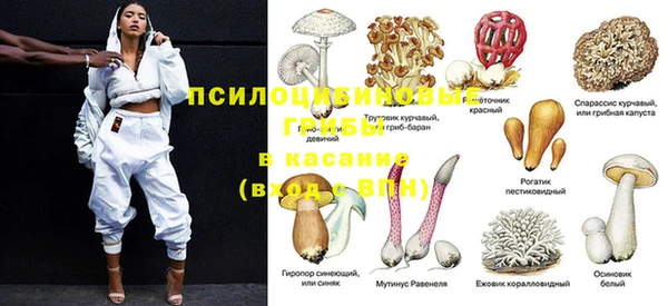 spice Шали