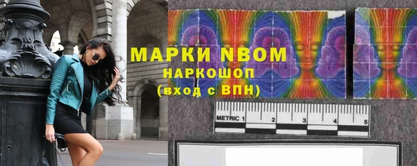шишки Шадринск