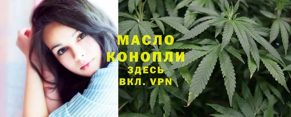 шишки Шадринск