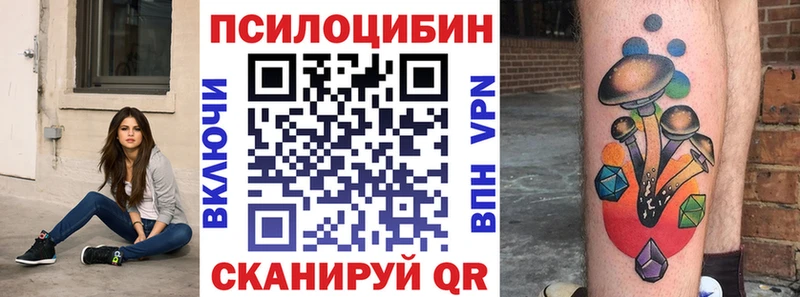 KRAKEN онион  Долгопрудный  Псилоцибиновые грибы ЛСД  закладки 
