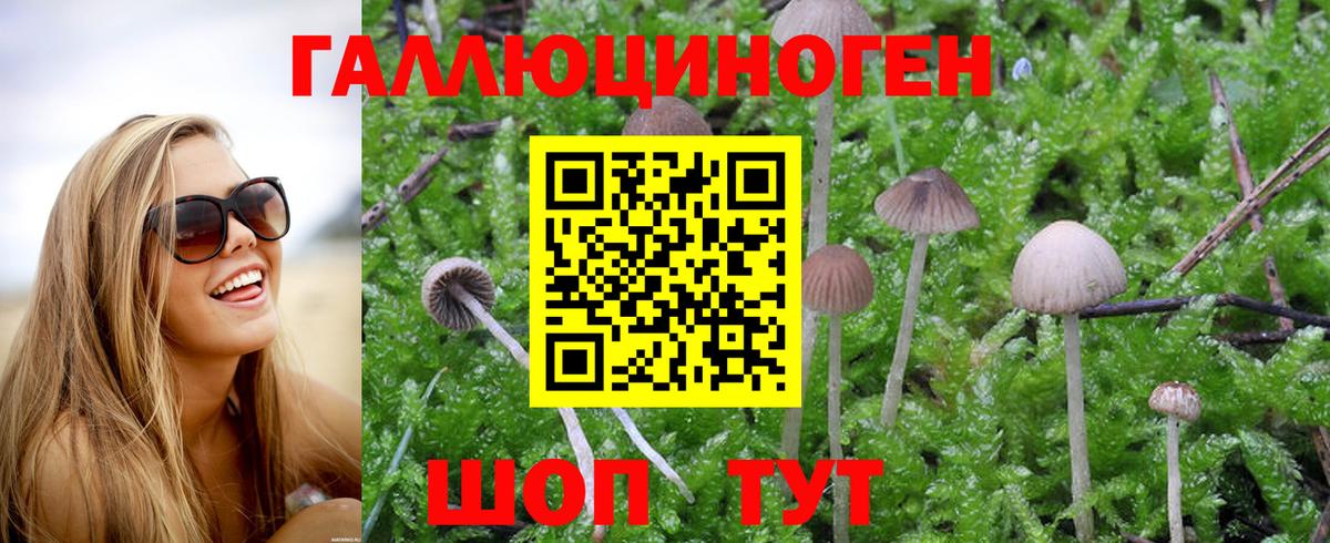 Псилоцибиновые грибы мухоморы  Псилоцибиновые грибы Magic Shrooms  купить   Долгопрудный 